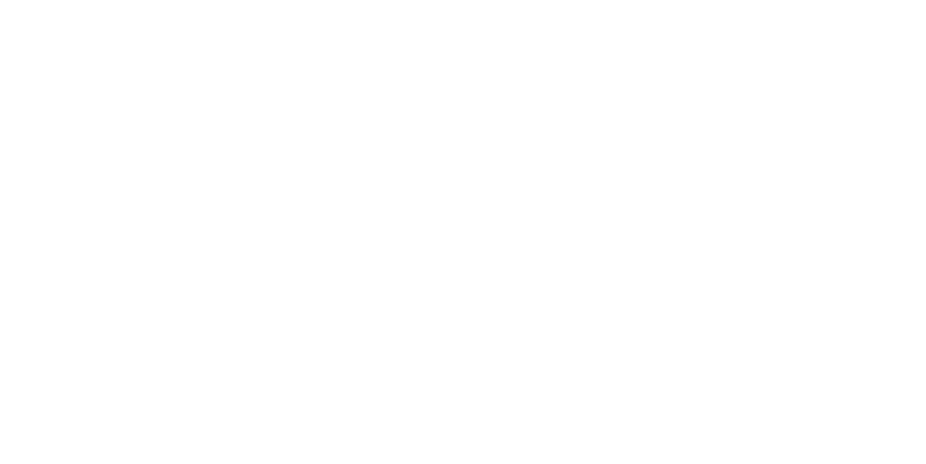 logo région auvergne rhône alpes