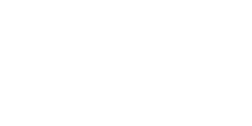 logo-skema