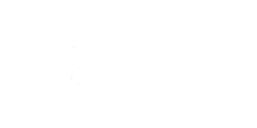Logo of the Université Fédérale of Toulouse