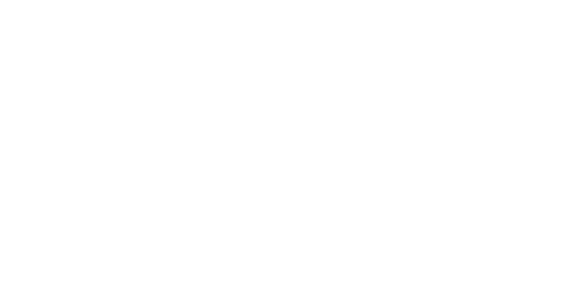 logo fondation solidarité