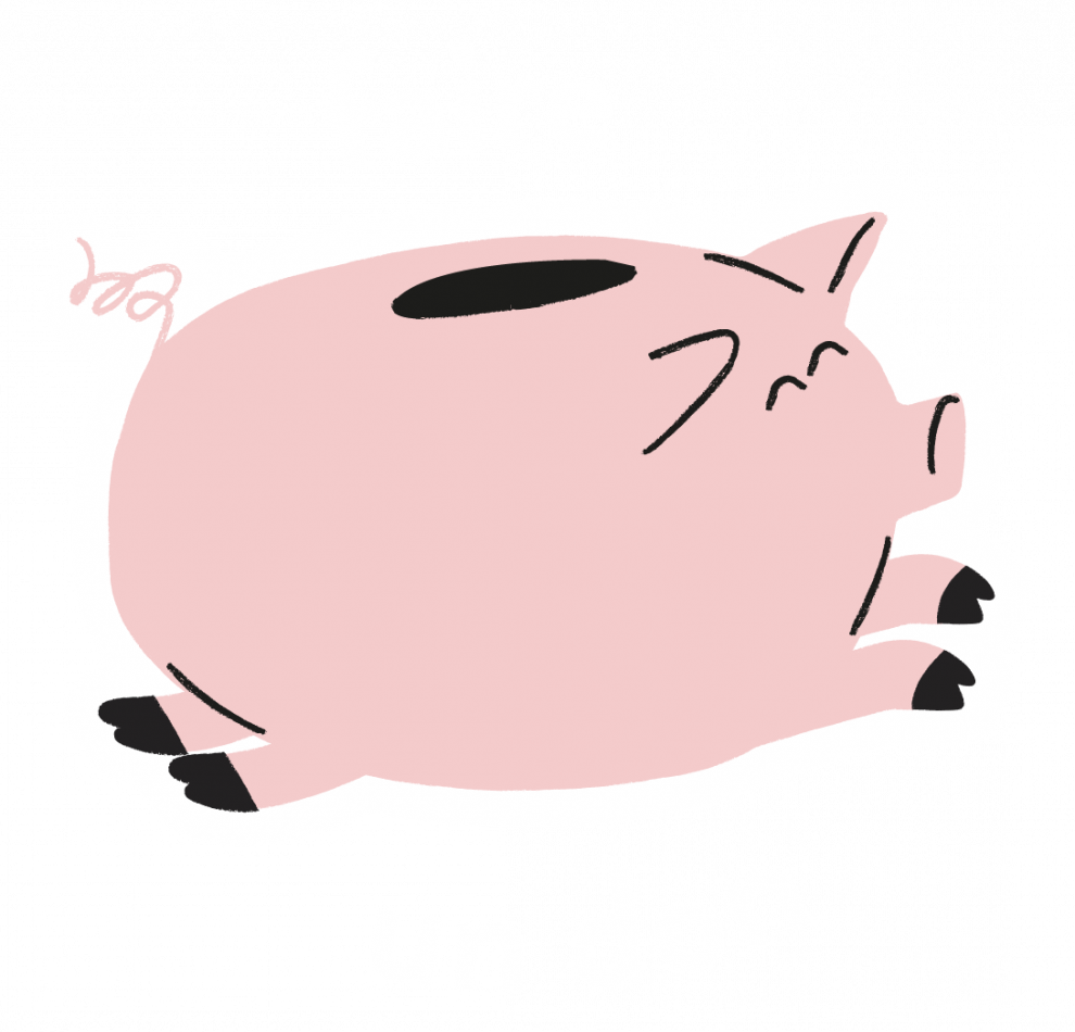 cochon